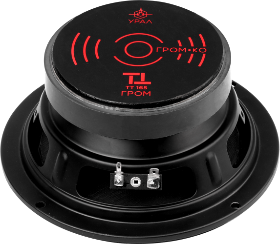 4-ТТ-165-ГРОМ-573x500